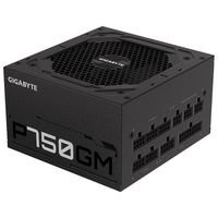 Fuente de Alimentación: GIGABYTE P750GM Dispositivos